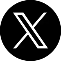 x icon